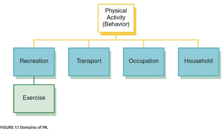 Domain of Physical Activity