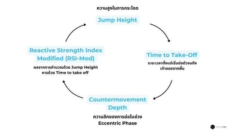 Countermovement Jump คืออะไร