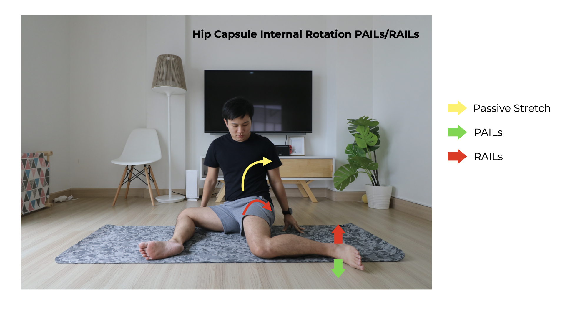 Hip Capsule Internal Rotation PAILs/RAILs