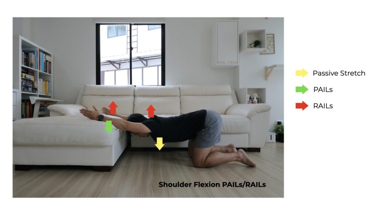 Shoulder Flexion PAILs/RAILs